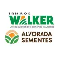 Irmãos Walker